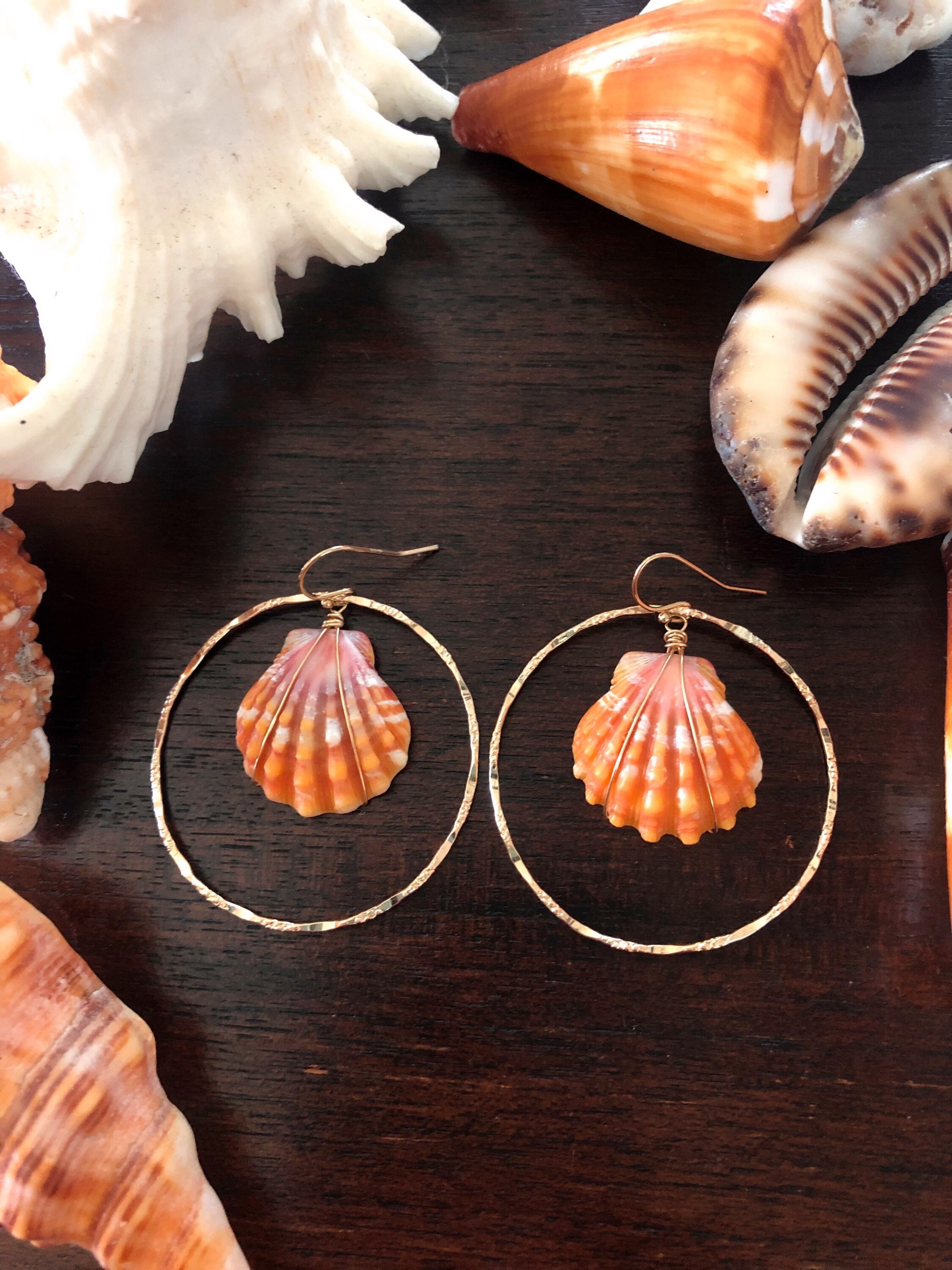 Superb Hawaiian Sunrise Shell Gold Hoop Earrings